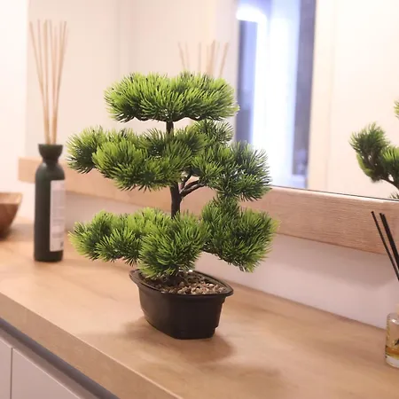 Luxury Harmony スプリト